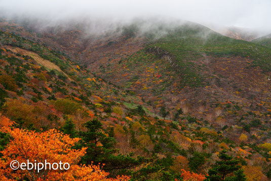 安達太良山の紅葉