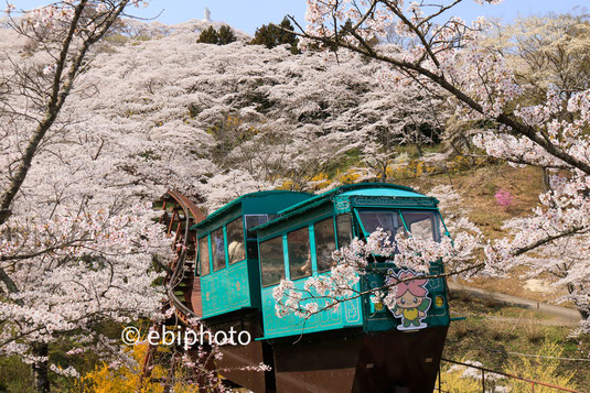 船岡城址公園