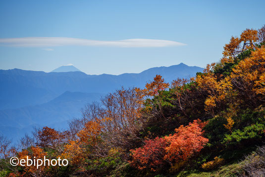 富士山