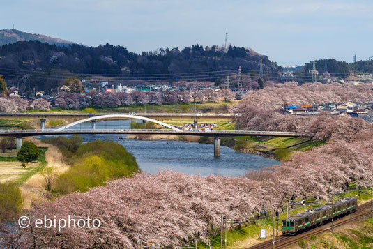 東北本線と白石川堤一目千本桜