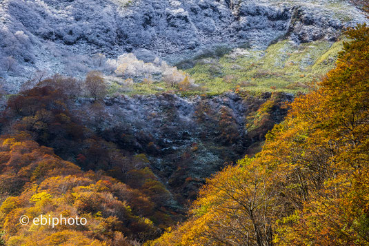 雪と紅葉