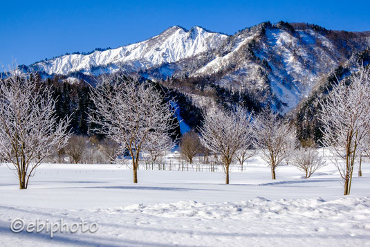 尾白山