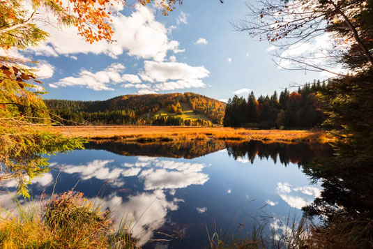 Lac de Lispach Vosges Automne