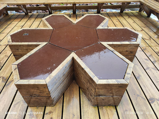 Dit symbool van een zeshoek met daaraan zes pijlen is het symbool voor de Zweedse nationale parken