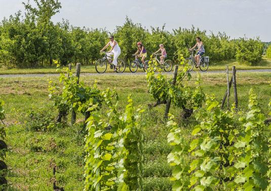 cycling-biking-Loire-Valley-bike-ride-wine-tasting-vineyard-Vouvray-Loire-Wine-Tours