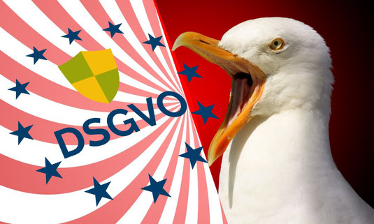 Aktueller Datenschutz in Deutschland / Datenschutzgrundverordnung & Datenschutzrecht in Unternehmen / Fragen zur DS-GVO an 50 Unternehmen / Landesbeauftragte prüft, wie gut Niedersachsens Wirtschaft die neuen Datenschutzregeln umsetzt