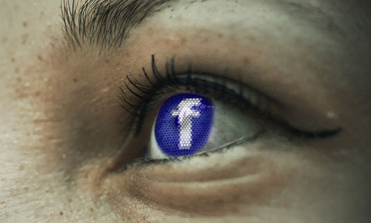 Aktueller Datenschutz in Deutschland / Datenschutzgrundverordnung & Datenschutzrecht in Unternehmen / LfDI bei Pulse of Europe Mainz: “Datenschutz: EU vs. Facebook & Co. – David gegen Goliath?“