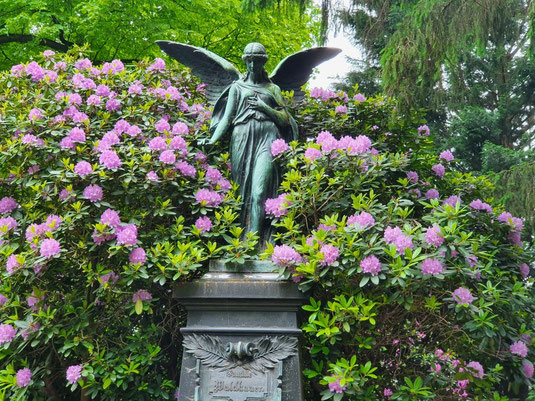 Ohlsdorfer Friedhof; Foto: Karin Karsten-Licht