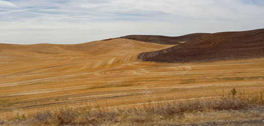 Palouse Scenic Byway, Washington