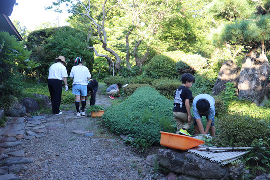 みんなで草むしり大会(初日)
