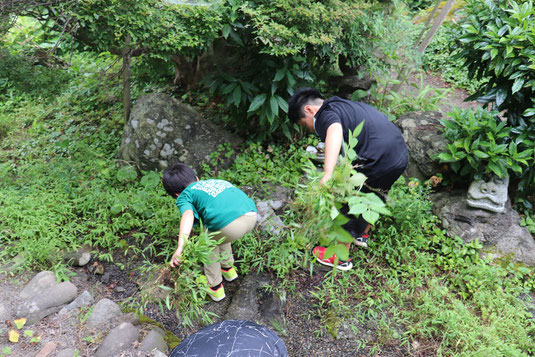 草むしり大会(8月10日)
