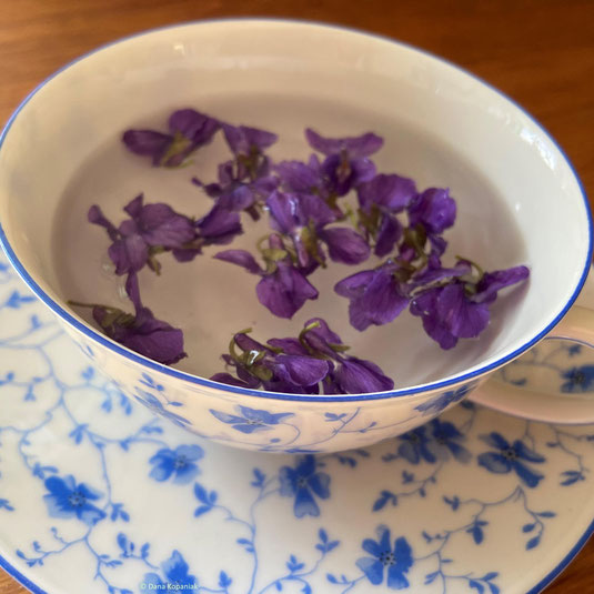 Duftveilchenblüten in einer Tasse Wasser