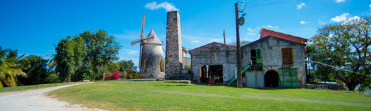 Destillerie Bellevue, Grand Bourg, Marie-Galante © Guillaume Aricique, 2017, Comité du Tourisme des Îles de la Guadeloupe CTIG
