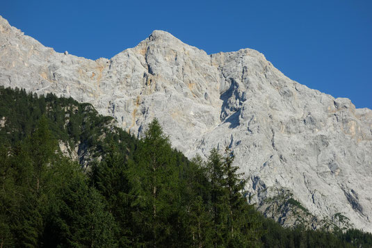 Blick zurück