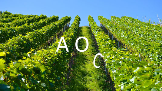 AOC et transition digitale : se réinventer ou disparaître !