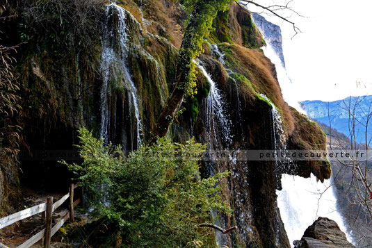 Cascade - Grotte de Choranche - Isère