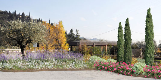 DA3studio progettazione del verde Valpolicella