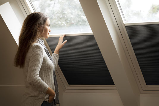 Velux Wabenplissee