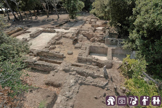 PARCO ARCHEOLOGICO POGGIO AL MOLINO PIOMBINO