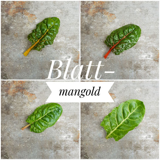 Gelber, roter, rosaroter und grüner Mangold