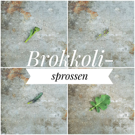 Grüne Sprossenbrokkoli, violette Blütenknospen einer alten Brokkoli-Sorten, violette Sprossenbrokkoli und junges Sprossenbrokkoli-Blatt