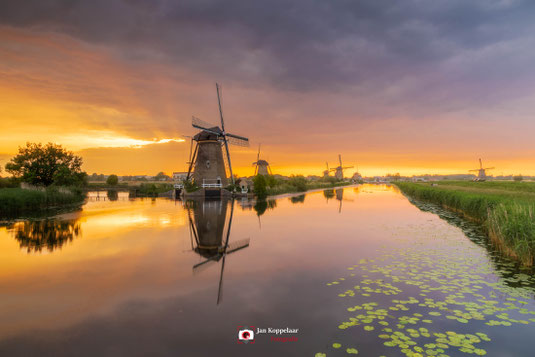 Mijn meest actuele foto: Golden Evening bij UNESCO Werelderfgoed Kinderdijk