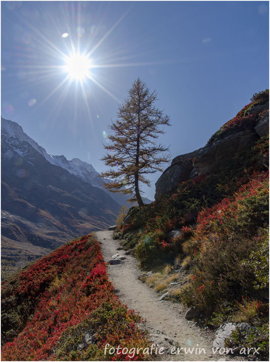 Lötschental, Fafleralp, Grundsee, Anenhütte, Langgletscher, Lonza, Lötschenlücke, Guggisee