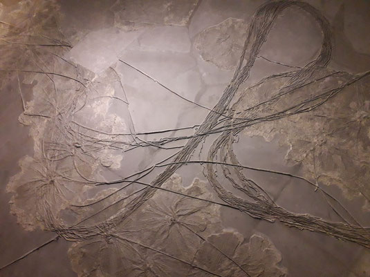 'Schwäbisches Medusenhaupt', Bild von Fiona Gottschling und Elisabeth Hellweg