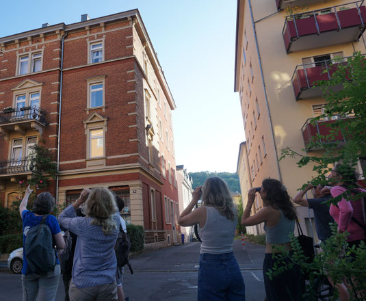 Mit Gudrun Helm auf der Suche nach Mauersegler-Brutstätten (Foto: Marianne Hohlfeld)