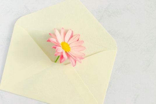 封筒に入れられた薄いピンク色の花。