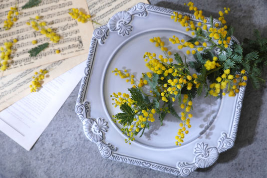 お皿に飾られたミモザの花。傍らに楽譜と英文資料ペーパーが置かれている。