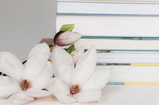 ページが開かれた分厚い洋書の上に無造作に置かれたピンクのバラの花が3輪。傍らにカフェオレのマグカップ。