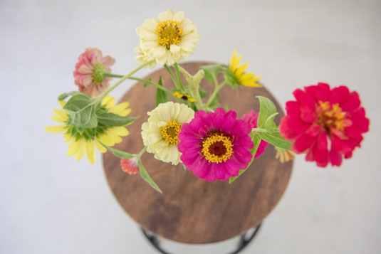 木製のスツールに飾られたデイジーの花。