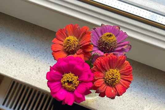 籐で編まれたトレイに盛りつけられたクロワッサンとオレンジジュース。ミモザの花。