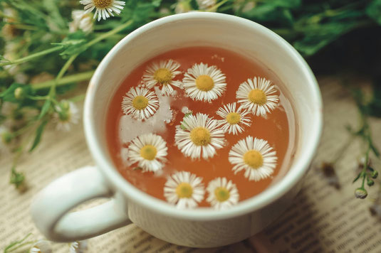 ミニチュアハウスとパステルカラーのバラの花たち。