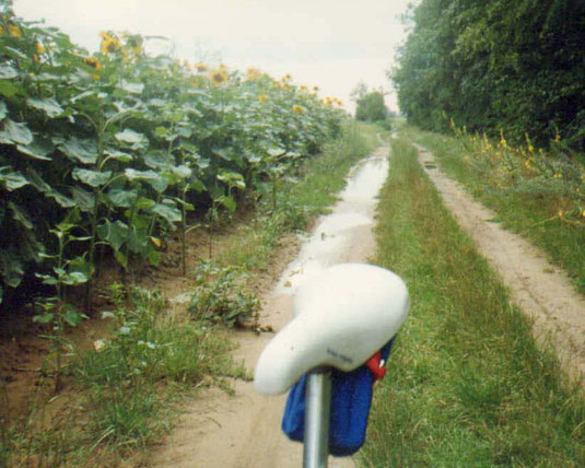 Zwischen Pfungstadt und Modautal nach Anstieg