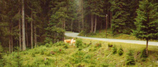Abfahrt alte Gerlospassstrasse
