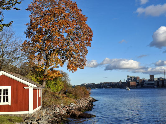 Blick auf ein Schwedenhäuschen auf der Insel Djurgården. (Foto: Kathrin)