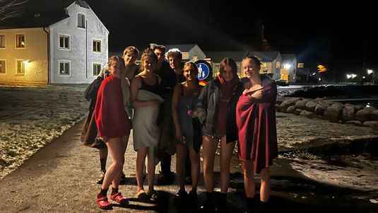 Die Praktikanten im Norden vor dem Eisbaden in Vadstena. (Foto: privat)