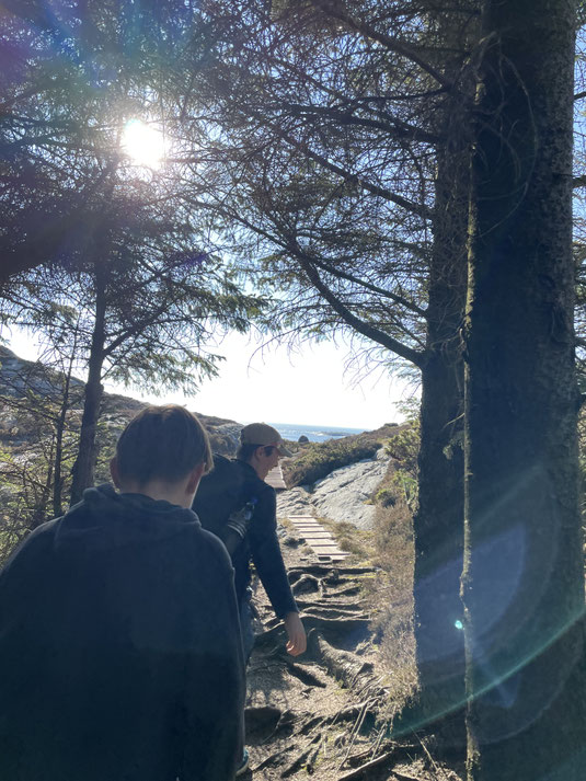 Täglich grüßt die Wanderung.