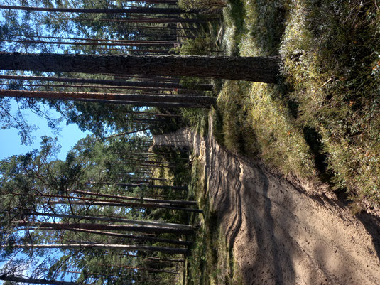 Auf neuen Wegen wandern.