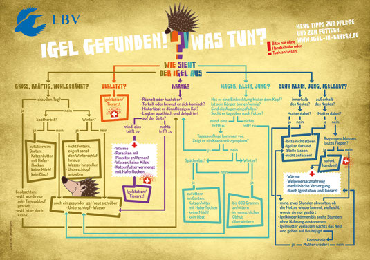 Schritt für Schritt Anleitung, was man im Fall eines gefundenen Igels tun muss © BR / LBV