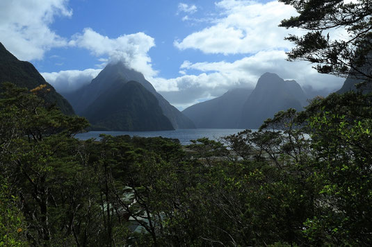 Milford Sound, Fiordland National Park, New Zealans roadtrip, fjords, sights South Island New Zealand