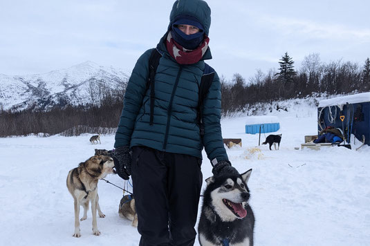 Schlittenhunde Alaska, Schlittenfahrt, Coldfood, Dalton Highway, Alaska im Winter