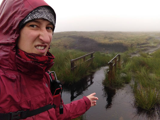 Bogs, Coast to Coast Trail England, Nine Standards Rigg, red route, different routes, Sarah Bauer