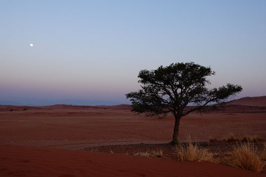 Namib Wüste nachts, Wüstenfahrt, Wüstensafari, Namibia, Namibia to Go