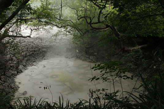 Rincon de la Vieja National Park, mud pots, thermal activity, volcano