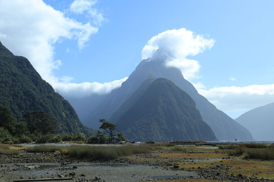 New Zealand, sights, South Island, Fiordland National Park, diverse landscape