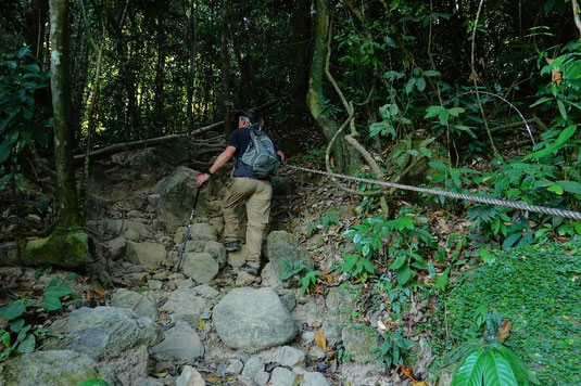 Dragon's Crest Trail, hiking in Thailand, best trails in Thailand, Krabi, jungke hike, Thailand