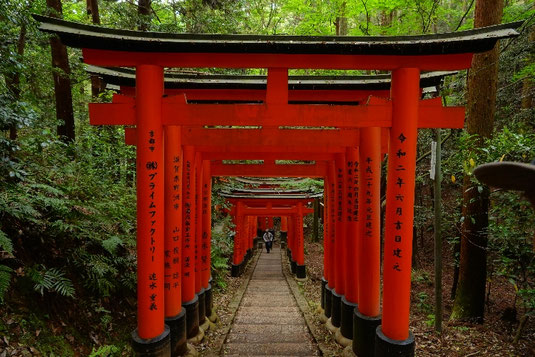 Fushimi Inari, Kyoto, 10.000 rote Torii, Wandern in Kyoto, Wanderweg, Tempel, Orte der Stille